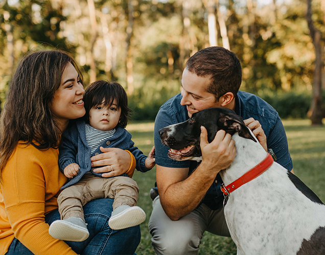 family loves adopted bull arab rspca queensland